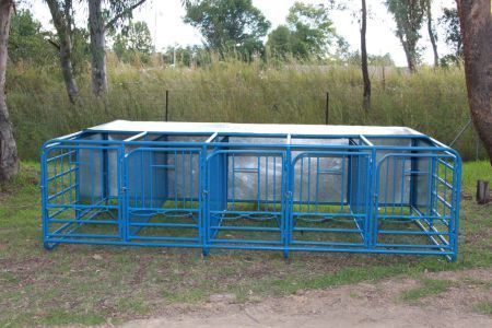 5 Section Calf Pen